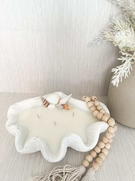 Medium Clam Shell